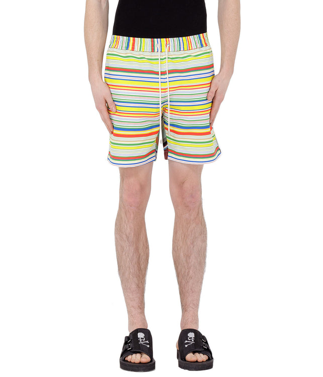 Multicolor Striped Swim Shorts