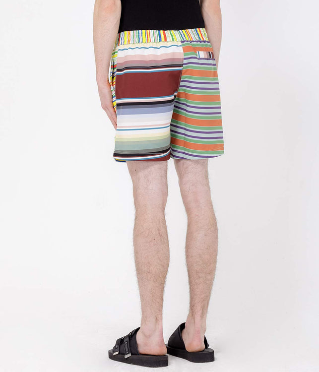 Multicolor Striped Swim Shorts